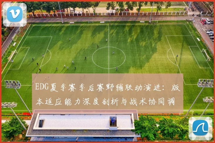 EDG夏季赛季后赛野辅联动演进：版本适应能力深度剖析与战术协同调整观察
