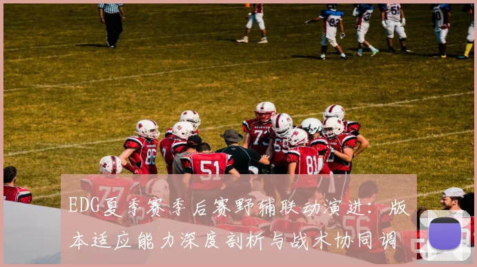 EDG夏季赛季后赛野辅联动演进：版本适应能力深度剖析与战术协同调整观察