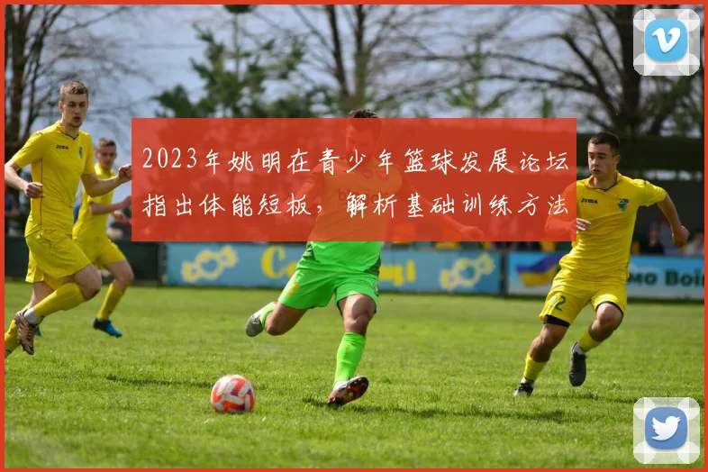 2023年姚明在青少年篮球发展论坛指出体能短板，解析基础训练方法与科学调整